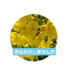 超自然派スタンプ（個別スタンプ：11）
