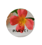 超自然派スタンプ（個別スタンプ：13）