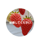 超自然派スタンプ（個別スタンプ：16）