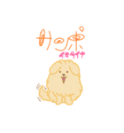 まめ＆らきおすたんぷ（個別スタンプ：22）