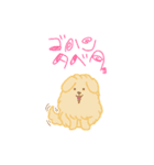 まめ＆らきおすたんぷ（個別スタンプ：23）