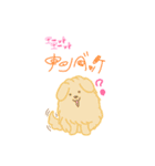 まめ＆らきおすたんぷ（個別スタンプ：24）