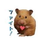 キンクマのポンちゃん2（個別スタンプ：16）