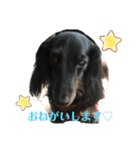 yui_20201120110536（個別スタンプ：21）