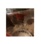 世界のハムちゃん（個別スタンプ：8）