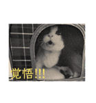ちびみやパート8（個別スタンプ：6）