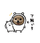 ポメラニアンのフーちゃんだよ！（個別スタンプ：2）