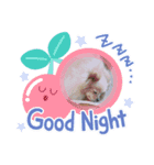 ポメラニアンのフーちゃんだよ！（個別スタンプ：7）