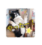 セナ'sスタンプ2（個別スタンプ：2）