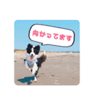 セナ'sスタンプ2（個別スタンプ：4）