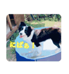 セナ'sスタンプ2（個別スタンプ：7）