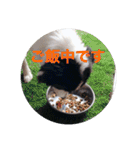 セナ'sスタンプ2（個別スタンプ：8）
