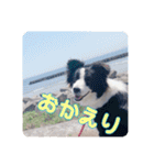 セナ'sスタンプ2（個別スタンプ：9）
