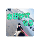 セナ'sスタンプ2（個別スタンプ：12）