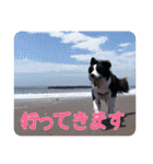 セナ'sスタンプ2（個別スタンプ：17）