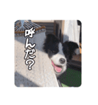 セナ'sスタンプ2（個別スタンプ：18）