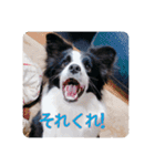 セナ'sスタンプ2（個別スタンプ：20）