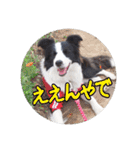 セナ'sスタンプ2（個別スタンプ：23）