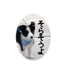 セナ'sスタンプ2（個別スタンプ：26）