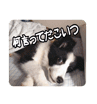 セナ'sスタンプ2（個別スタンプ：27）
