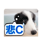 セナ'sスタンプ2（個別スタンプ：33）