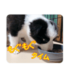 セナ'sスタンプ2（個別スタンプ：34）