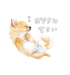 ポメチワのルルくん（個別スタンプ：1）