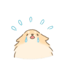 ポメチワのルルくん（個別スタンプ：28）