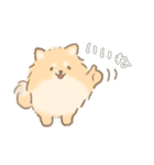 ポメチワのルルくん（個別スタンプ：29）