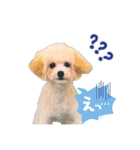 chacoの日常（個別スタンプ：5）