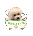 chacoの日常（個別スタンプ：8）