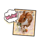 うさぎのチャコ❤️（個別スタンプ：4）