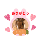 うさぎのチャコ❤️（個別スタンプ：12）