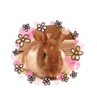 うさぎのチャコ❤️（個別スタンプ：14）