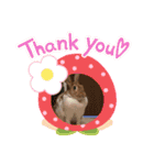うさぎのチャコ❤️（個別スタンプ：16）