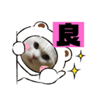 くろばちゃん（個別スタンプ：18）