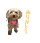 わたしのスタンプとおさみ達（個別スタンプ：1）