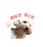 わたしのスタンプとおさみ達（個別スタンプ：5）