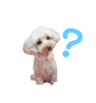 わたしのスタンプとおさみ達（個別スタンプ：6）