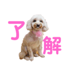 わたしのスタンプとおさみ達（個別スタンプ：8）