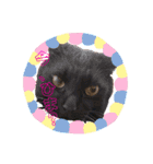 可愛い猫たちฅ•ω•ฅ（個別スタンプ：9）