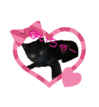 可愛い猫たちฅ•ω•ฅ（個別スタンプ：16）