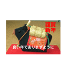 嬉しい正月（個別スタンプ：5）