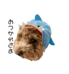 ToTo＆KoKo（個別スタンプ：1）