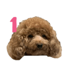 ToTo＆KoKo（個別スタンプ：2）