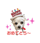 ユメの毎日スタンプ（個別スタンプ：1）