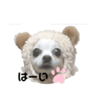 ユメの毎日スタンプ（個別スタンプ：6）