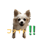 ユメの毎日スタンプ（個別スタンプ：9）