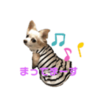 ユメの毎日スタンプ（個別スタンプ：10）