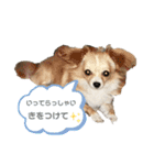 ユメの毎日スタンプ（個別スタンプ：12）